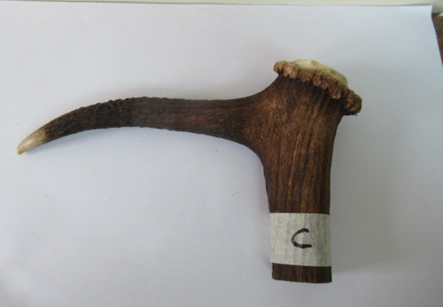 Red deer stag antler coronet - red,