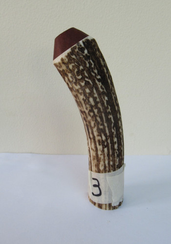 Red deer stag antler roll - deer,
