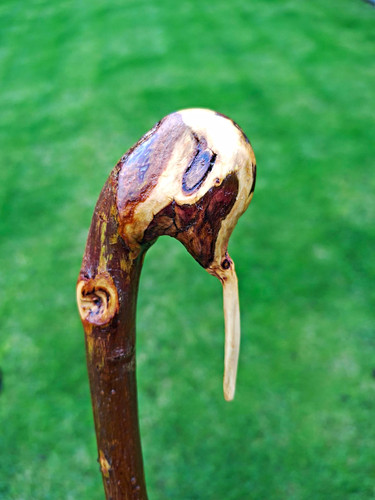 Blackthorn walking stick cane - walking,