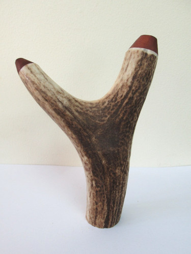 Scottish red deer stag antler - scottish,