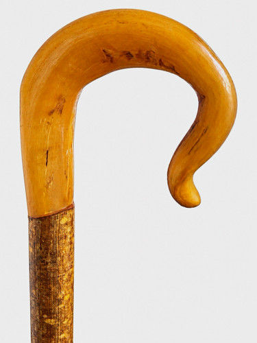 New ram horn shepherds crook - horn,