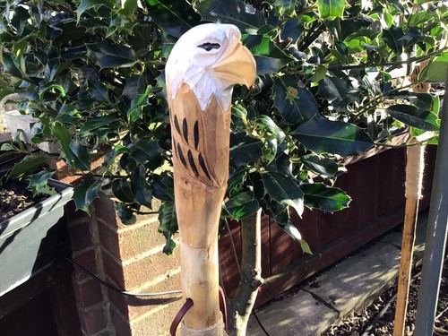 Wooden hiking walking stick - wooden, hiking/walking