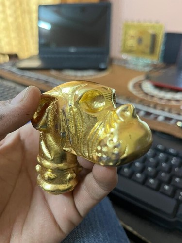 Dog bulldog head walking - dog,