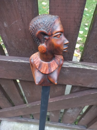 Female african walking stick - african,