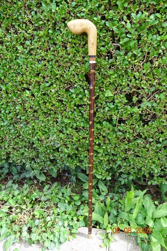 Walking stick with blackthorn - walking,