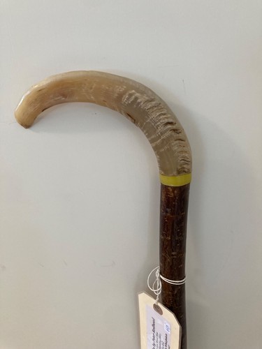 Rams horn handle walking - rams,