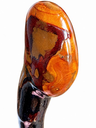 Blackthorn walking stick - blackthorn,