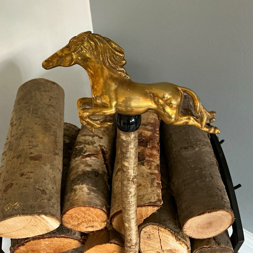 Walking stick with - stick,