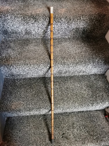 Edwardian walking stick silver - edwardian,