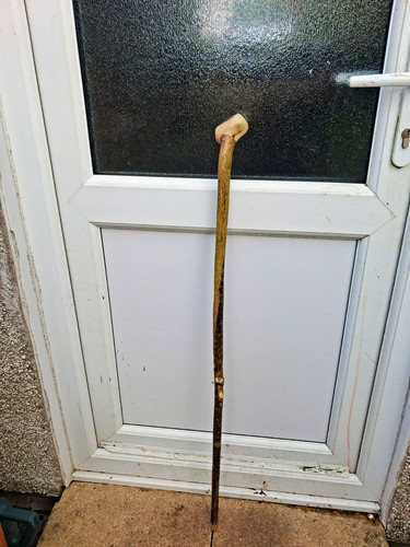 Wooden walking stick - walking,