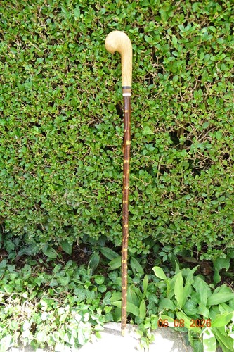 Walking stick with - , blackthorn